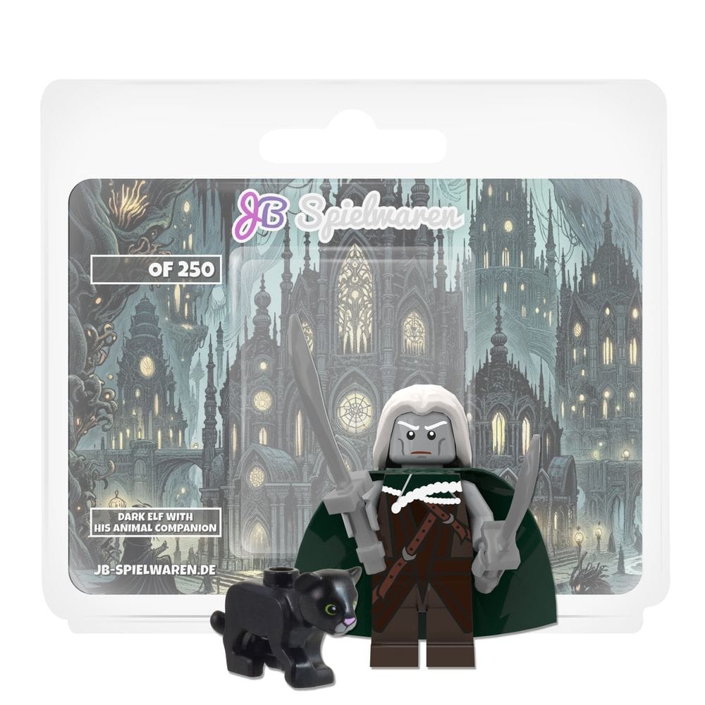 Dark Elf with his animal companion