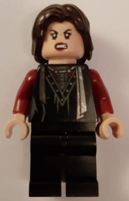 Nymphadora Tonks - Dark Brown Hair