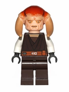 Saesee Tiin - Dark Brown Robe, White Arms, Large Eyes