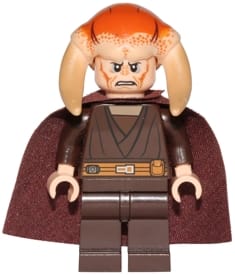 Saesee Tiin - Dark Brown Robe, Cape