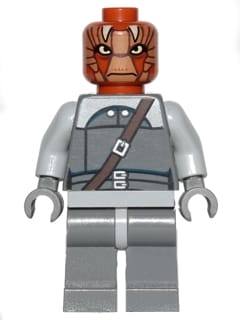 Nikto Guard